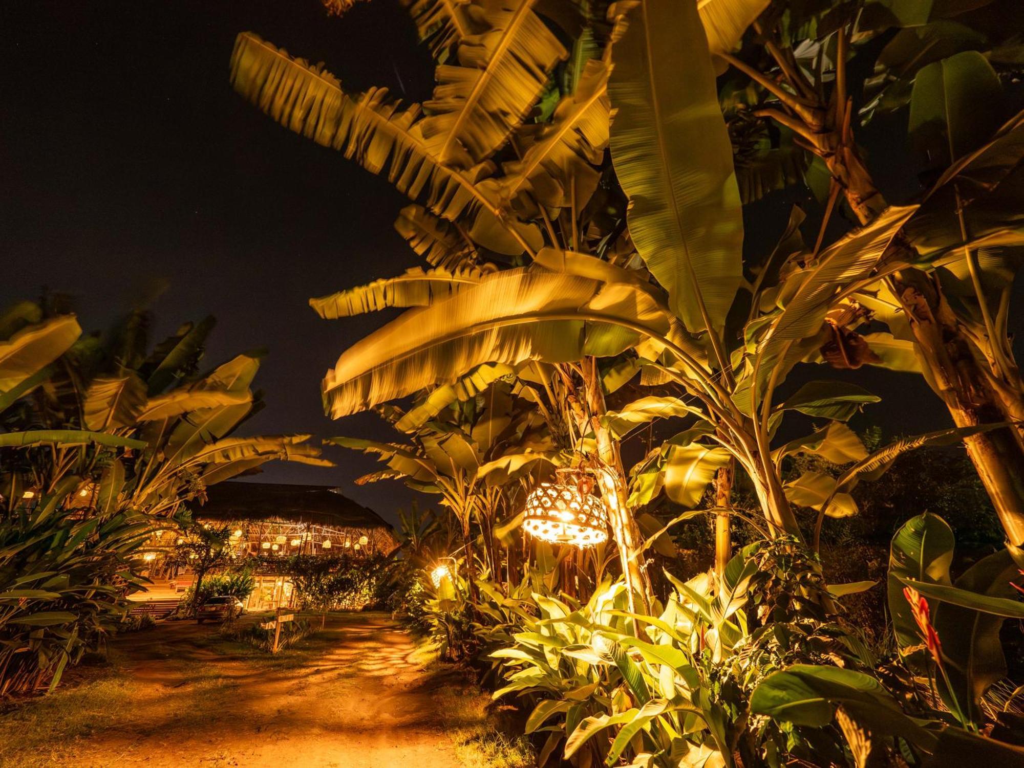 Mount Kilimanjaro 360 View Cottage Uru エクステリア 写真
