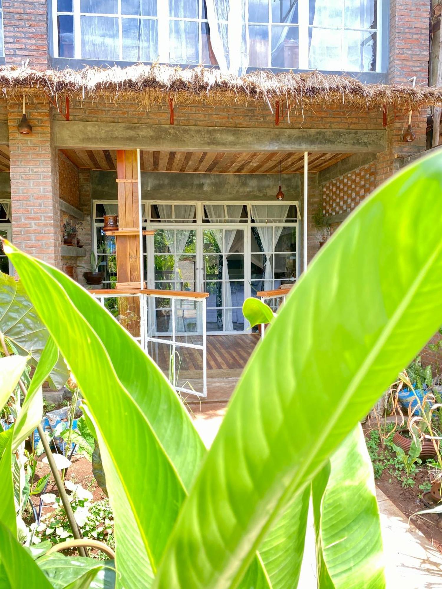 Mount Kilimanjaro 360 View Cottage Uru エクステリア 写真