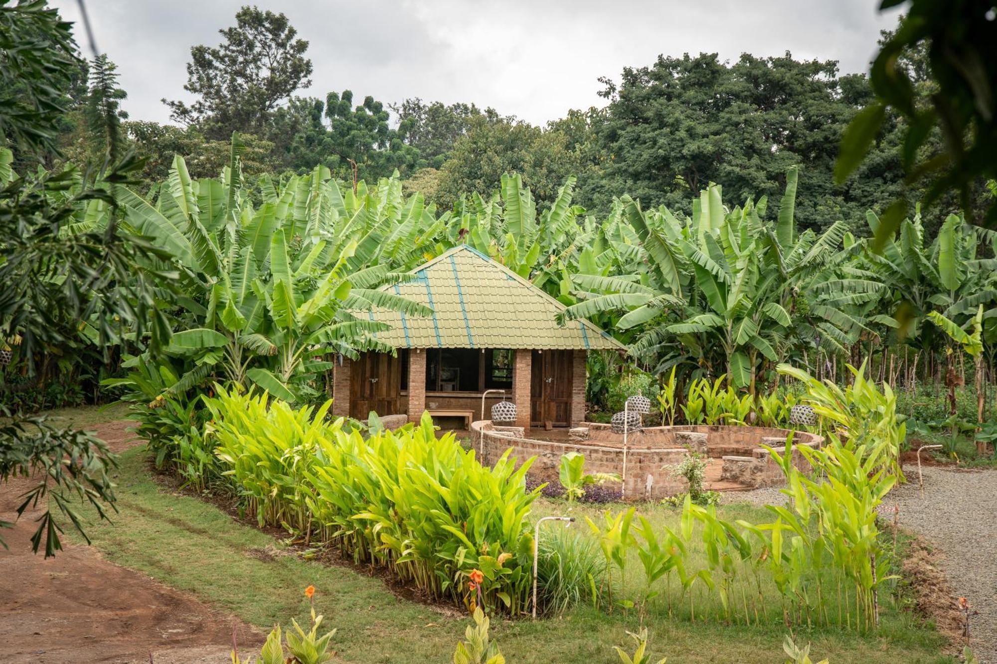 Mount Kilimanjaro 360 View Cottage Uru エクステリア 写真