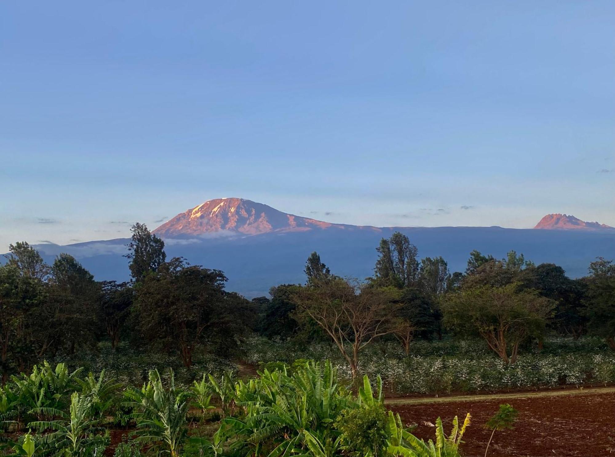 Mount Kilimanjaro 360 View Cottage Uru エクステリア 写真