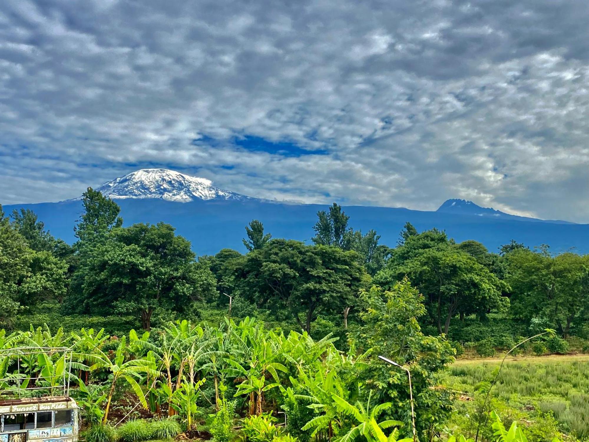 Mount Kilimanjaro 360 View Cottage Uru エクステリア 写真